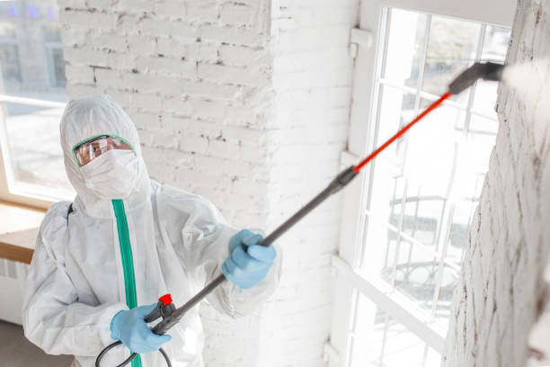 Best Industrial Mold Remediation  in Harrison, NJ