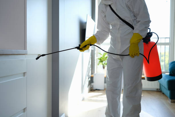 Best Mold Prevention Services  in Harrison, NJ